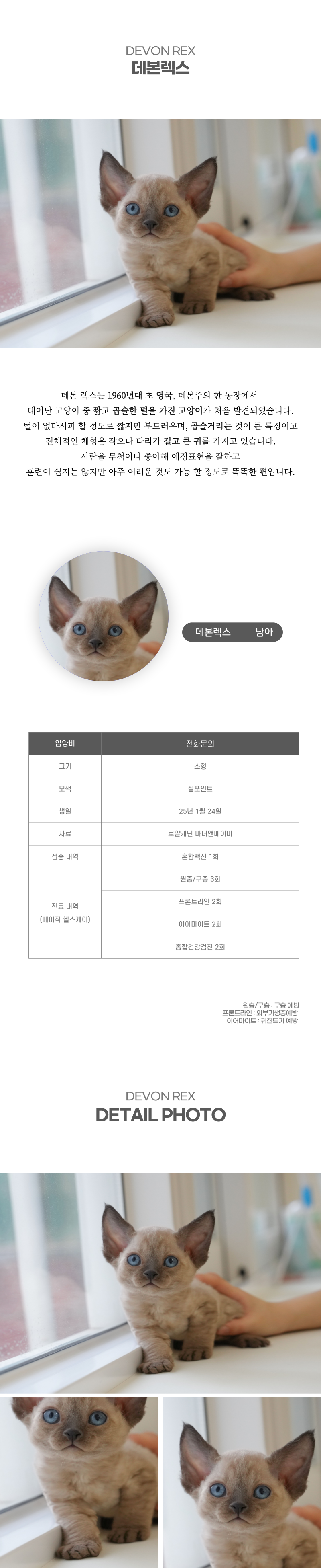 데본렉스_상세이미지_2